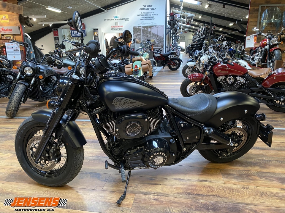 Indian Chief Dark Horse