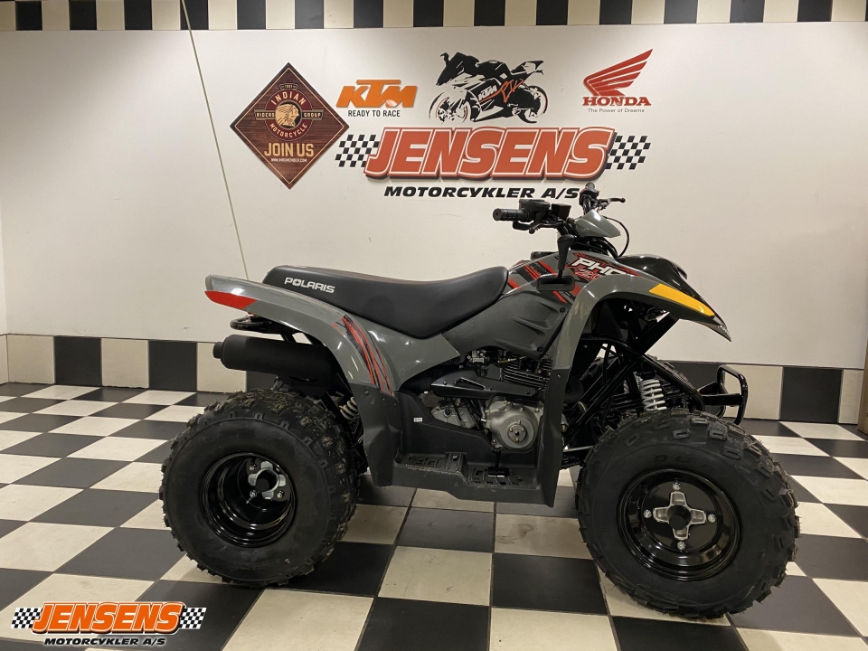 Polaris Phoenix 200