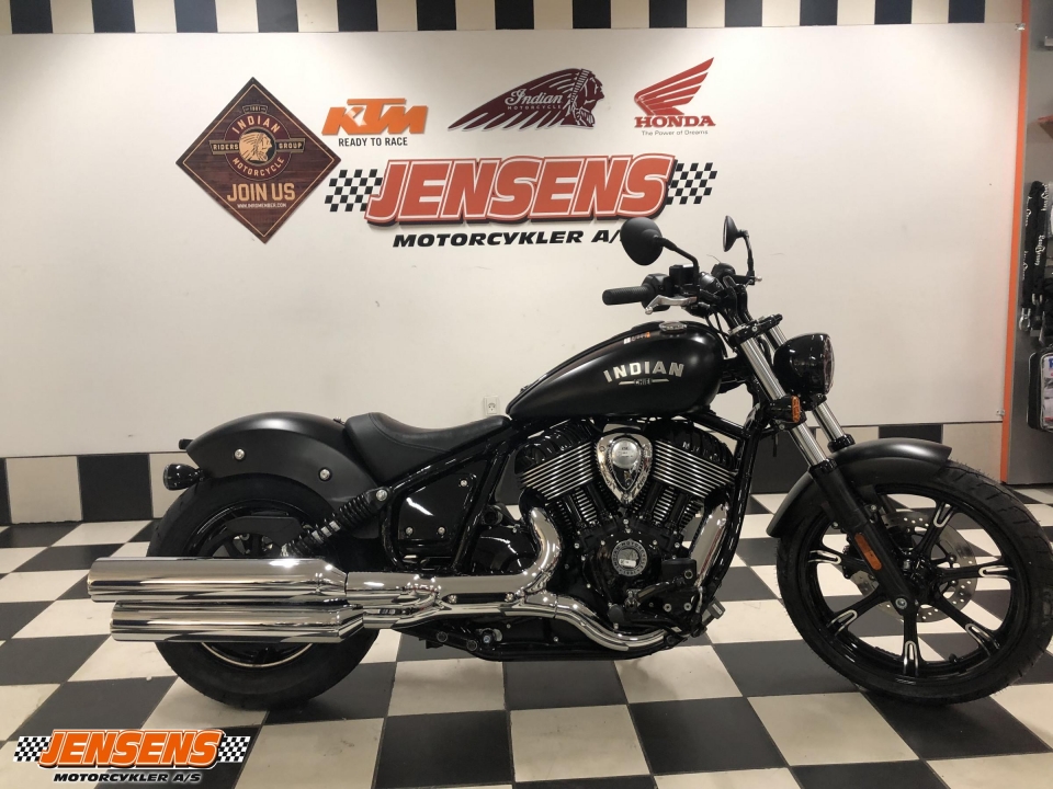 Indian Chief Dark Horse