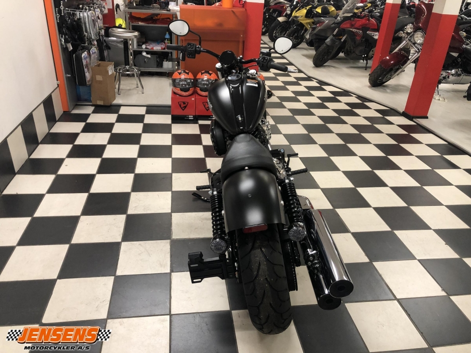 Indian Chief Dark Horse