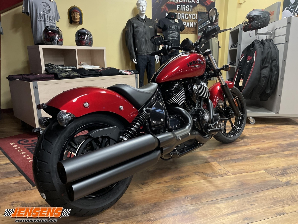 Indian Chief Dark Horse