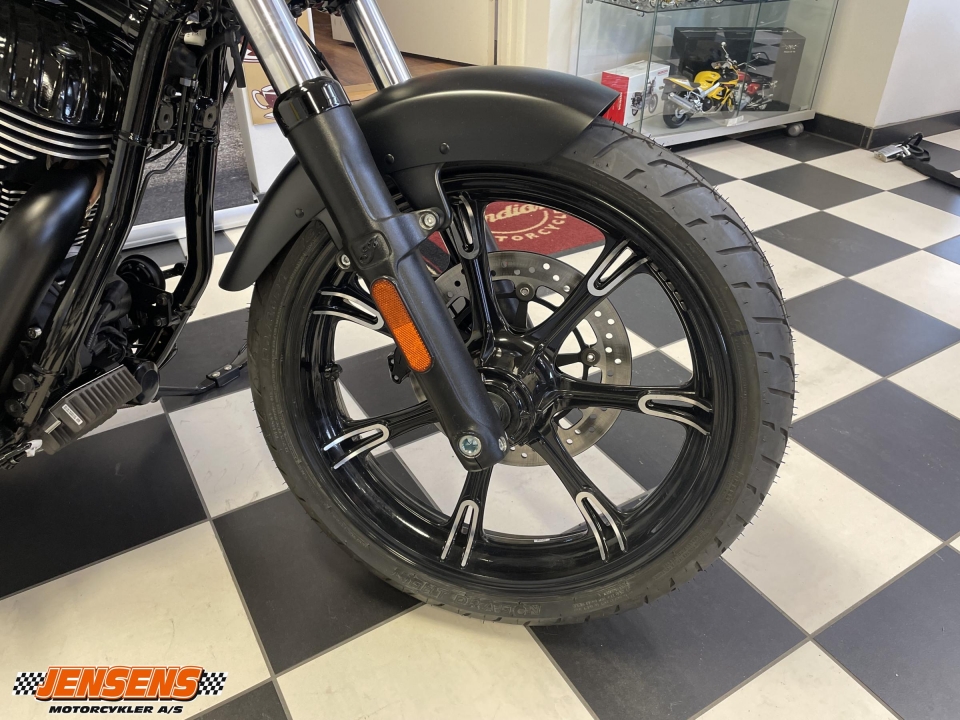 Indian Chief Dark Horse