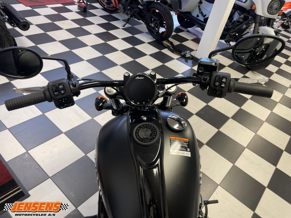 Indian Chief Dark Horse