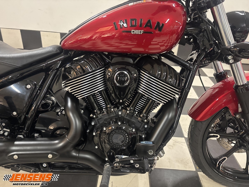 Indian Chief