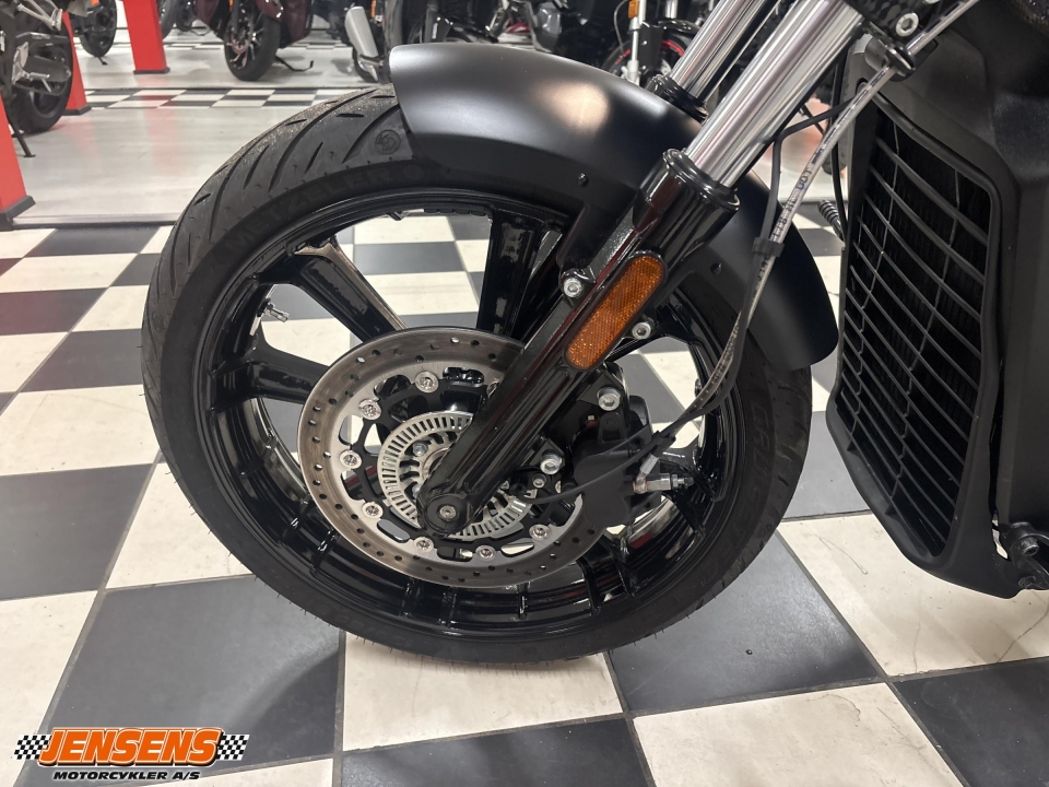 Indian Scout Rogue