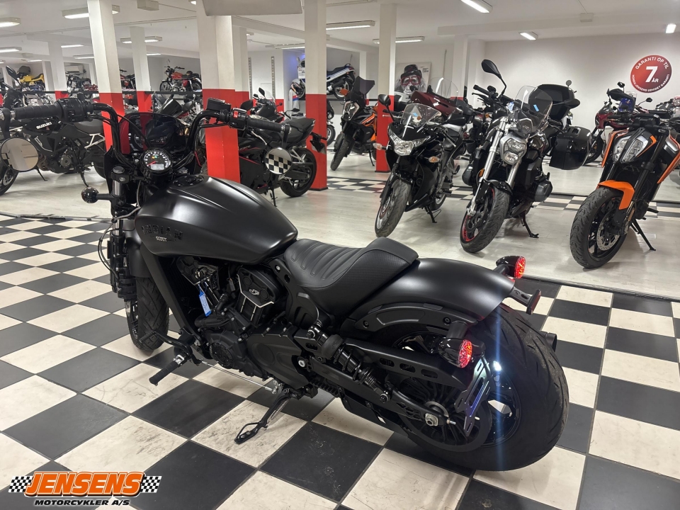 Indian Scout Rogue
