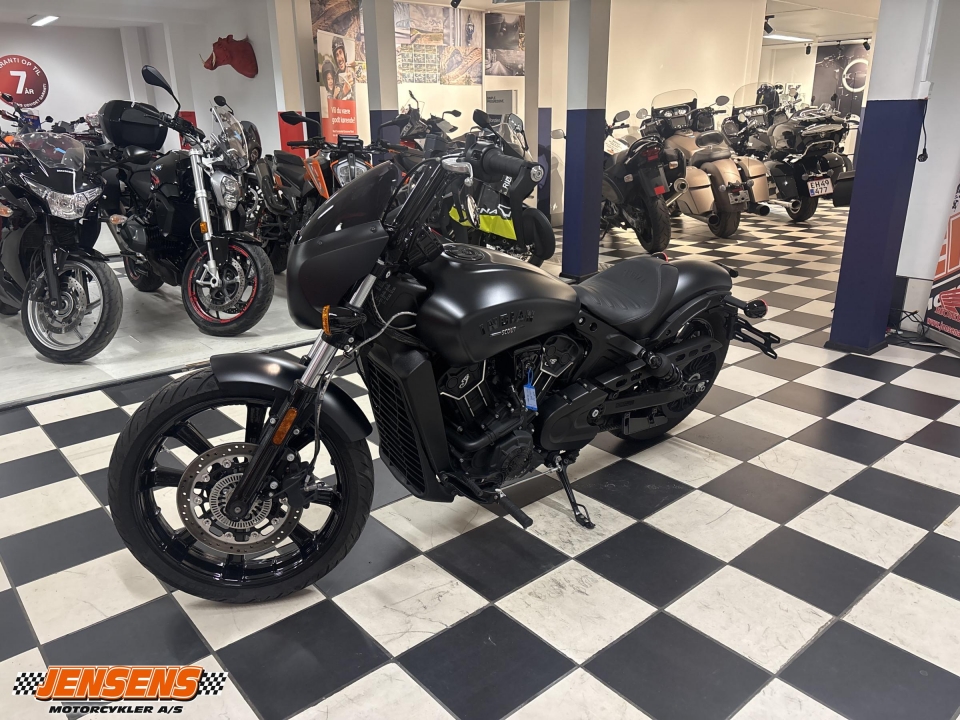 Indian Scout Rogue
