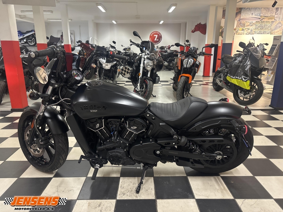 Indian Scout Rogue