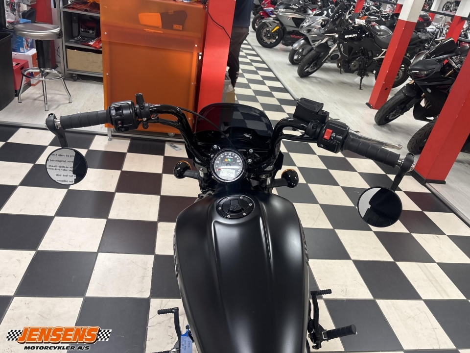 Indian Scout Rogue