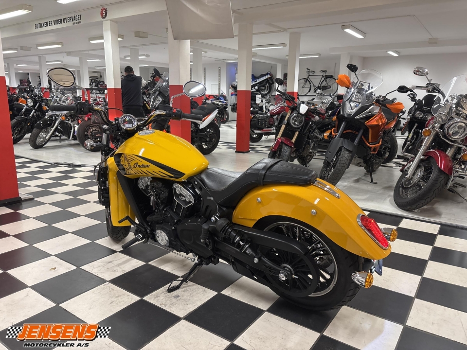 Indian Scout