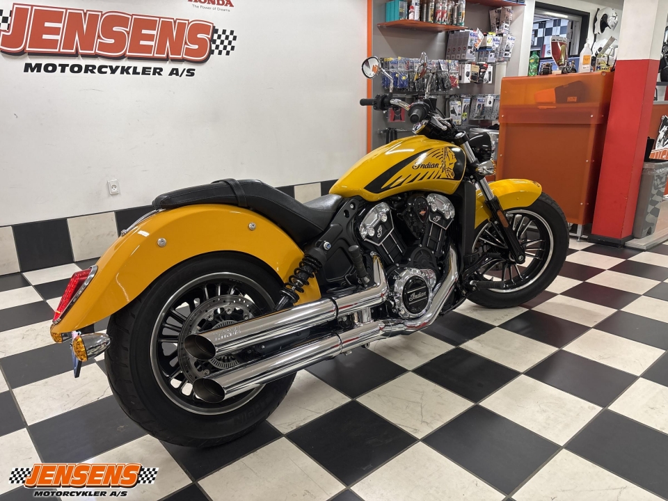Indian Scout