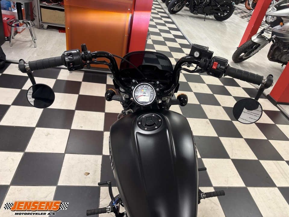 Indian Scout Rogue
