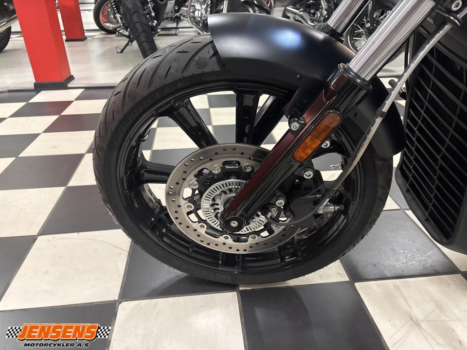 Indian Scout Rogue