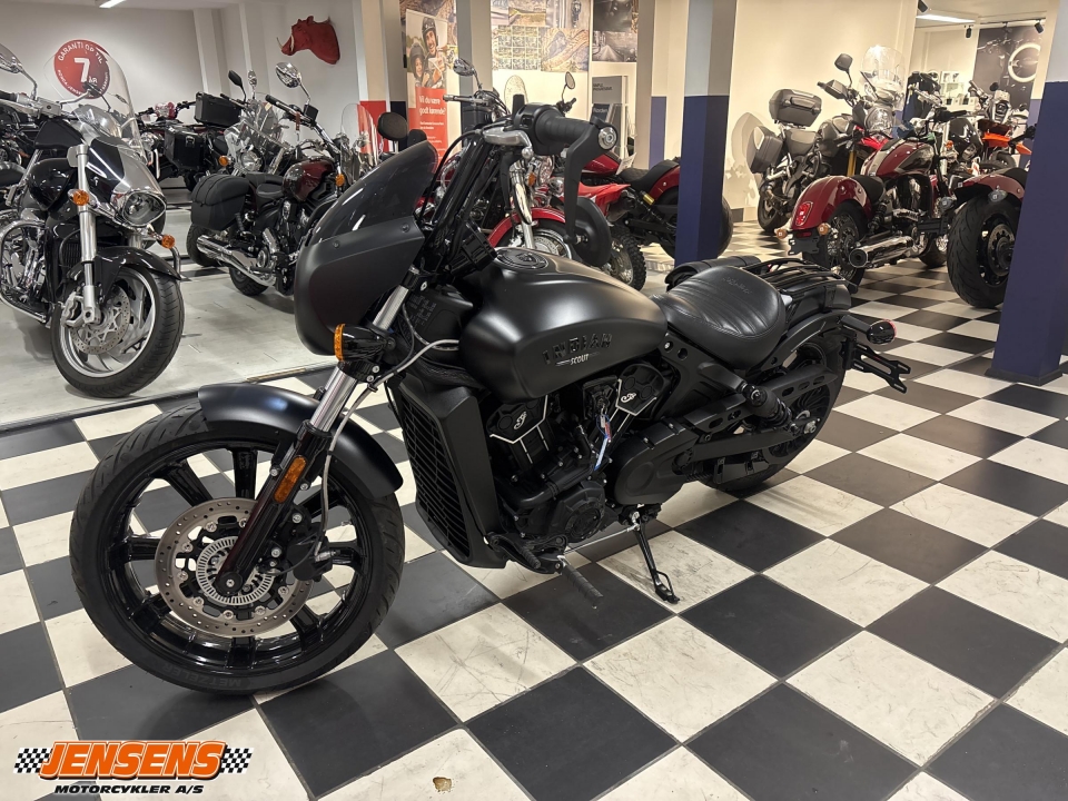 Indian Scout Rogue