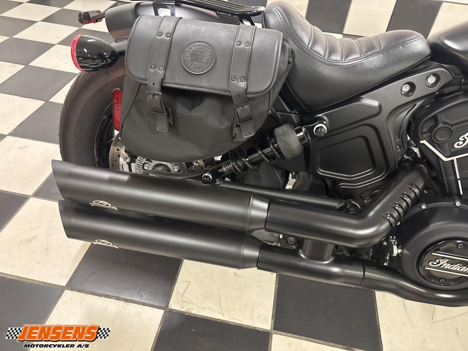 Indian Scout Rogue
