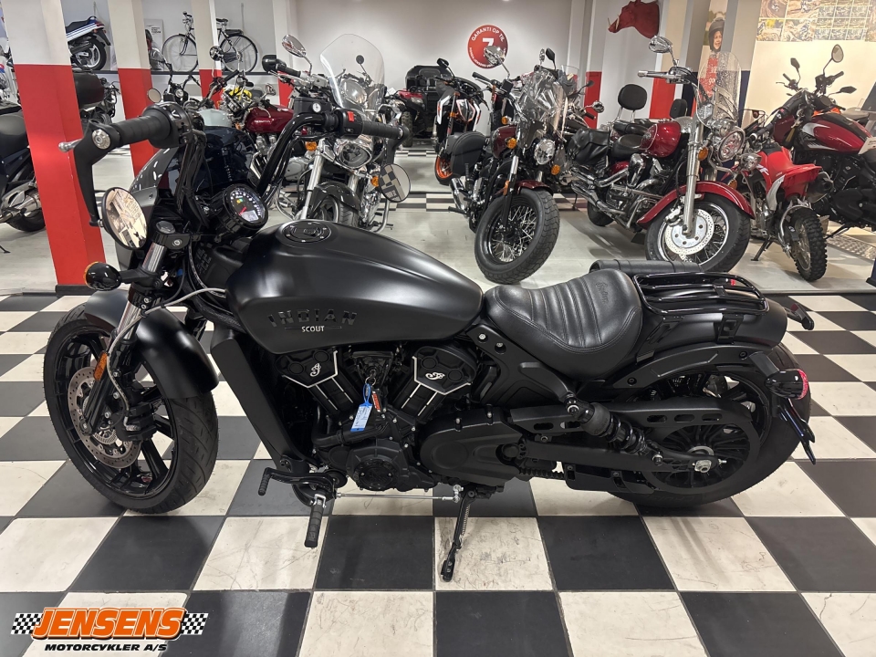 Indian Scout Rogue