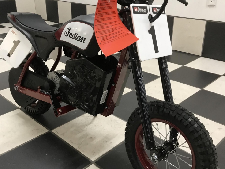Indian eFTR Mini